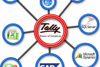 do api integration to tally prime