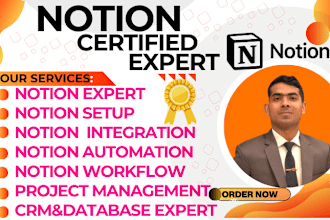 your notion expert, advanced aesthetic notion template