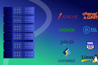 install wordpress, cpanel, plesk or other on hosting
