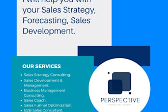 give you sales strategy, sales funnel optimization strategy, b2b strategy, leads