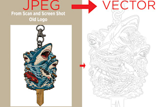 from image or photo to vector only 1 hour