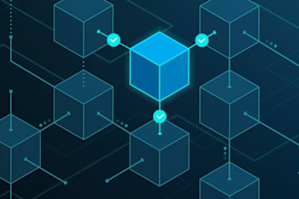 develop a custom blockchain network
