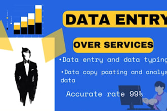 do data entry and analyze in excel expert