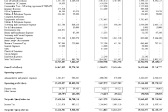 prepare financial statements, profit and loss, cashflows and balance sheet