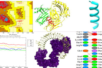 do bioinformatics and computational biology analysis