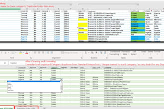 excel conditional formatting, cleaning, standardizing, dropdown lists