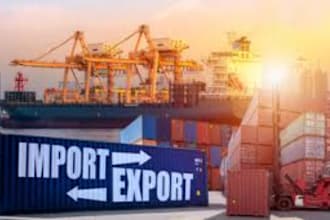 do import and export consultancy