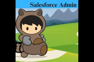 be your salesforce systems administrator