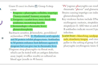 teach you first aid, uworld ,amboss, mehlman pdf usmle step1