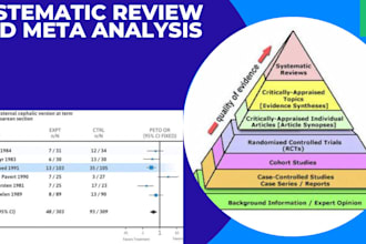 conduct a systematic review and metanalysis