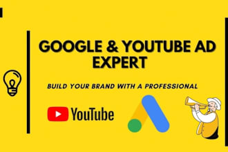 professionally set up youtube ads campaigns for brands