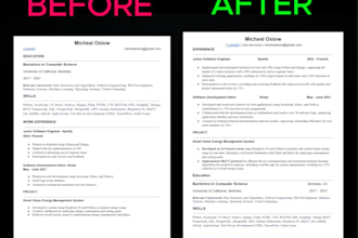 provide expert resume editing and review service for job success