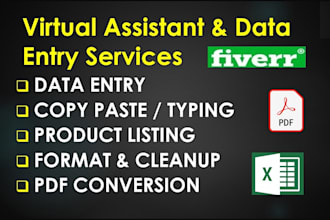 do accurate data entry, excel data entry, typing work and PDF to excel