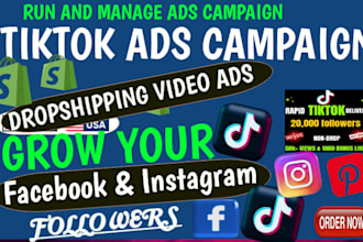 run and manage tiktok ads, tik tok  ads campaign manager