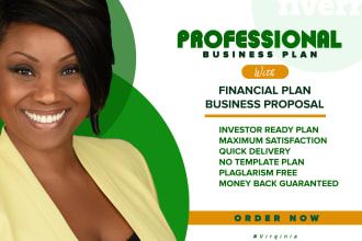 prepare a complete business plan for investor, startups, business plan writer