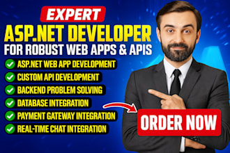 develop asp dot net web API, and backend issues solving