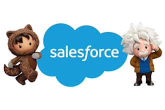 provide expert salesforce consulting for custom solutions