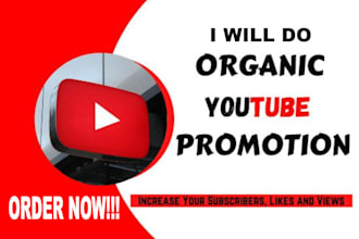 do youtube channel promotion and lead generation with monetization