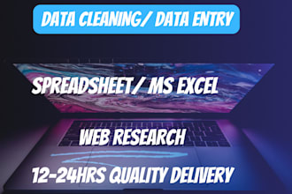 do in 12 hours data clean up, fastest data entry, ms excel