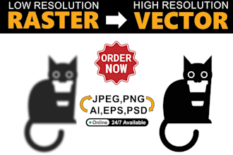 do vector tracing,edit,modify and redraw logo