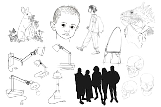 draw any type of custom black and white hand drawn line art illustration