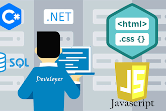 professionally fix bugs and errors in your asp dotnet core or mvc project
