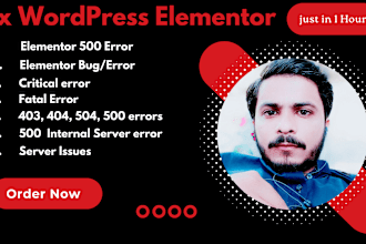 fix 403, 404, 500, 503 errors in wordpress website, critical error, fatal error