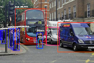 do computer vision, yolo, opencv and deep learning projects