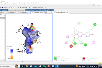 do molecular docking of protein ligand interaction