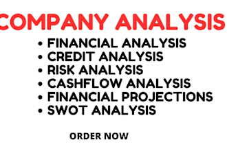 do financial analysis and planning, company analysis, credit analysis
