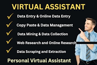 be virtual assistant for data entry and web research