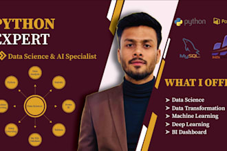 do data analytics, data analyst, power bi dashboard using power bi and excel