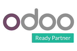 consult on odoo implementation