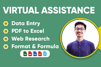 be your virtual assistant for data entry, copy paste, vba, formulas or macros