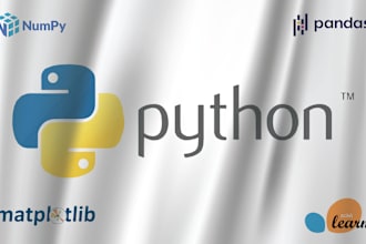 fast and accurate python assignment solutions