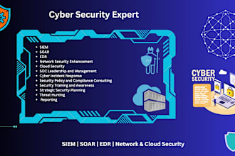 provide expert cyber security consultation and threat assessment