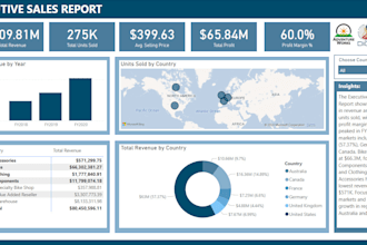 create professional power bi dashboards and reports
