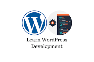 teach wordpress website development