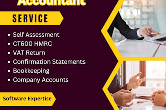 do prepare and submit UK accounts,ct600 and vat returns