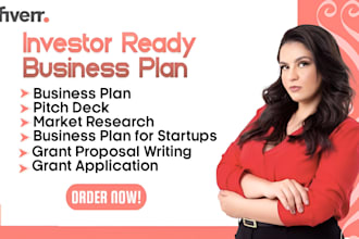 write an investor ready business plan for startup, loans, proposal, nonprofits