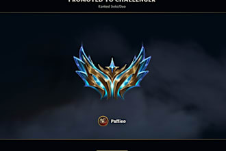 do league of legends coaching for support role