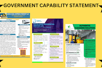 design and write government capability statement, capability statement in 4 hrs