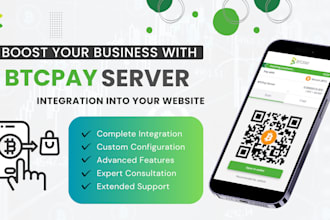 expertly integrate btcpay server into your business website