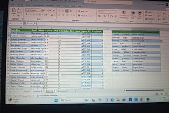 do excel data cleaning and transform messy spreadsheets into organised sights