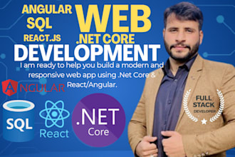 develop complete web app and web api dot net, react, angular