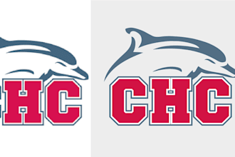 clean and vectorize your logo to be a print ready file