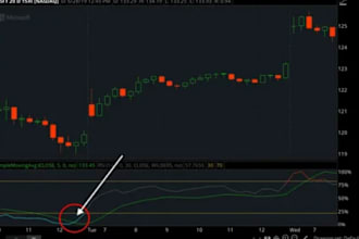code thinkorswim, thinkscript, tradingview ninjatrader, ninjascript