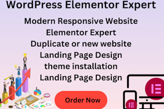 redesign, update, edit, copy or wordpress developer, elementor expert