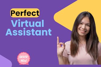 be your perfect virtual assistant and data entry expert