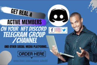 manage twitter, instagram growth telegram promotion or discord marketing